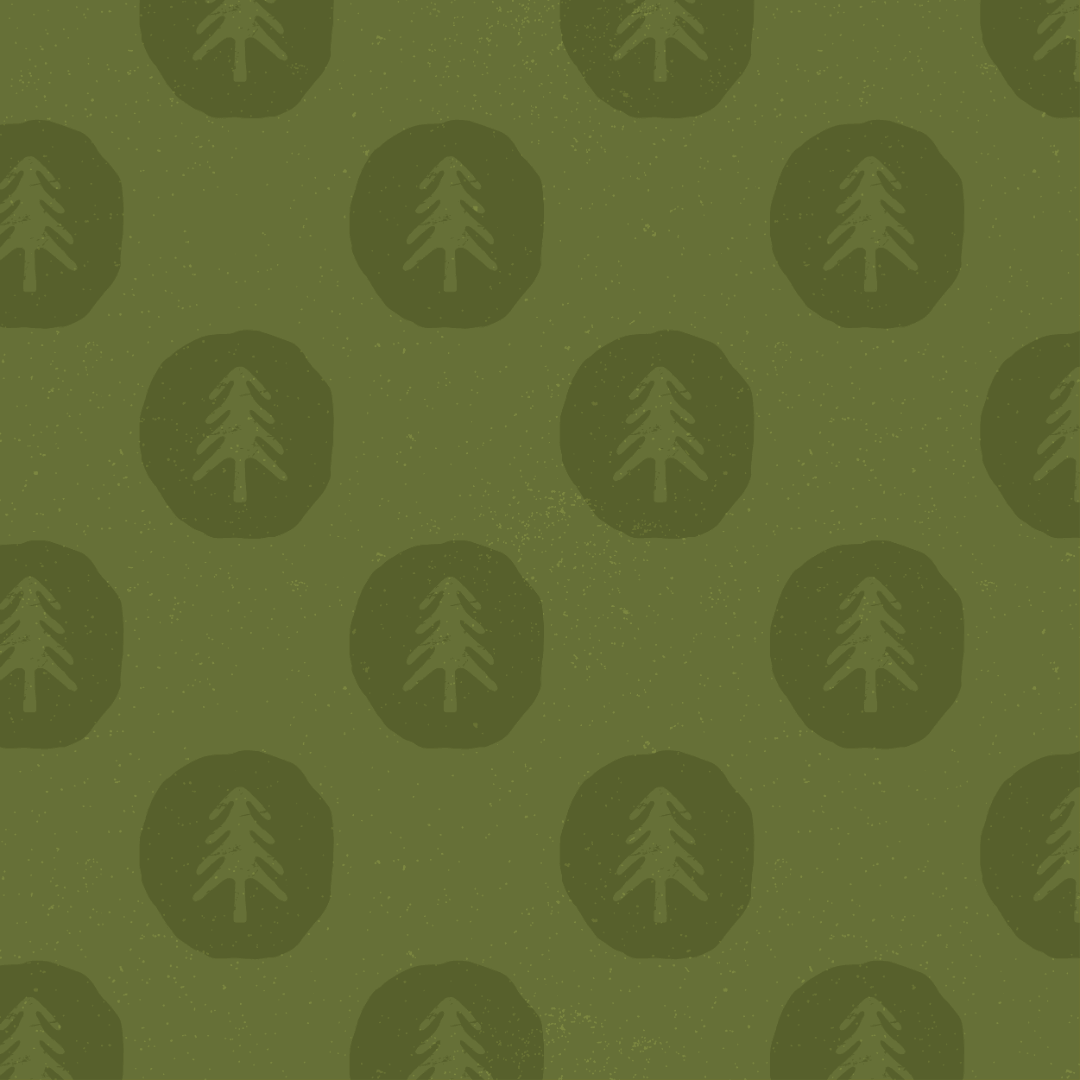 Little Trekkers Rebrand 2024 Little Trekkers